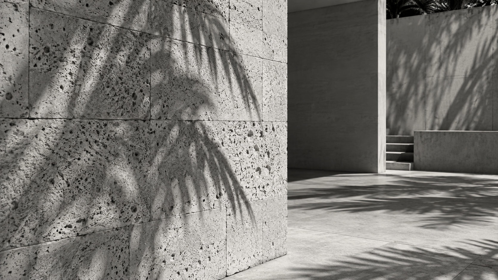 Monochrome coral stone architecture with palm shadows
